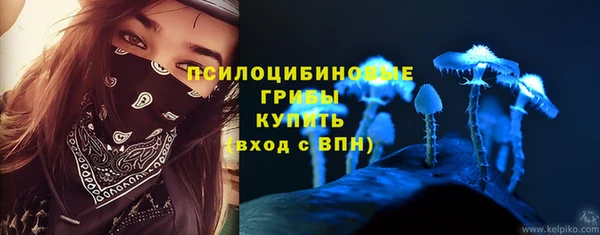 мдпв Пересвет