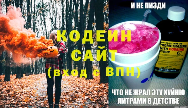 ГАЛЛЮЦИНОГЕННЫЕ ГРИБЫ Пестово