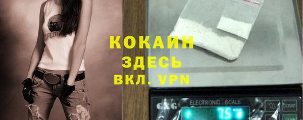 винт Осинники