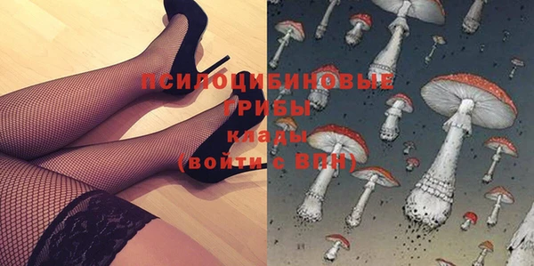 ГАЛЛЮЦИНОГЕННЫЕ ГРИБЫ Пестово