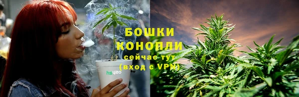 мдпв Пересвет