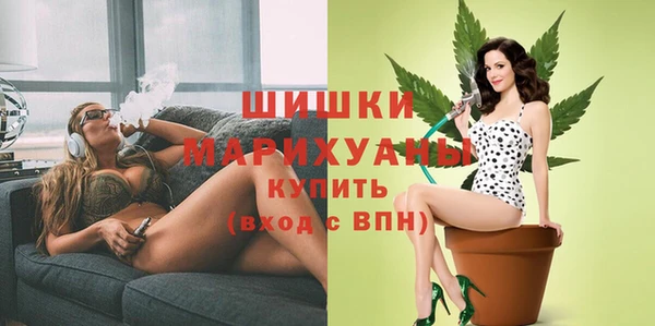 ГАЛЛЮЦИНОГЕННЫЕ ГРИБЫ Пестово