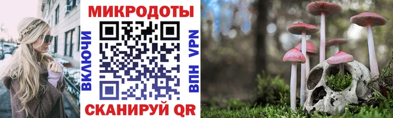 продажа наркотиков  Тюкалинск  Галлюциногенные грибы Psilocybe 