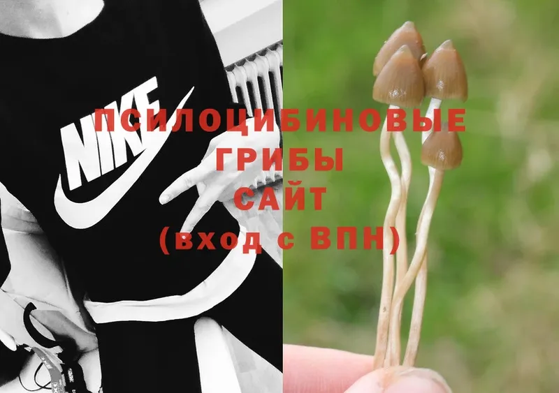 закладка  ОМГ ОМГ зеркало  Галлюциногенные грибы Psilocybe  Тюкалинск 