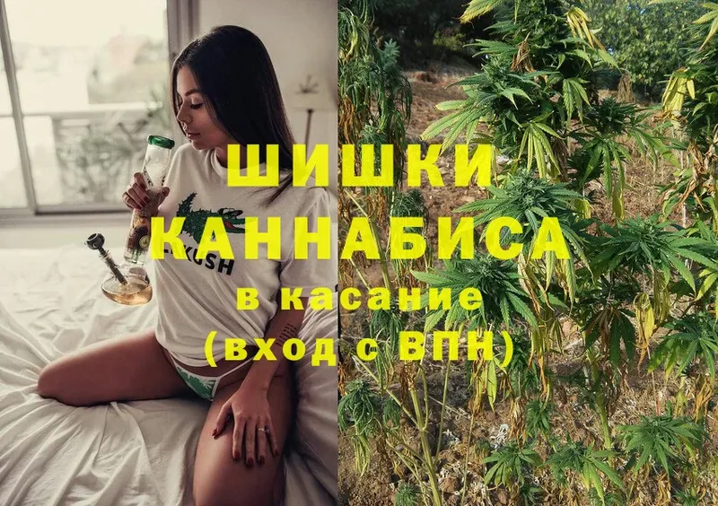 наркота  Тюкалинск  Бошки марихуана OG Kush 